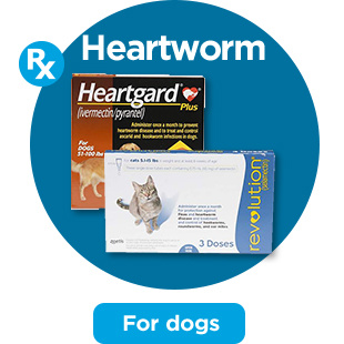 Heartworm. For dogs.