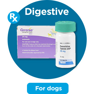 Digestive. For dogs.