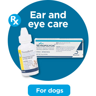 Ear and eye care. For dogs.