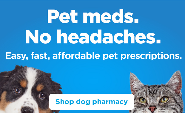 Pet meds. No headaches. Easy, fast, affordable pet prescriptions. Shop dog pharmacy.