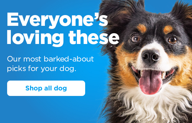 Everyone's loving these. Our most barked-about picks for your dog. Shop all dog.