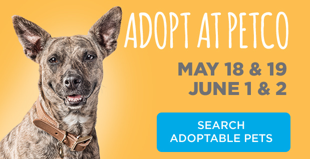 Search Adoptable Pets.