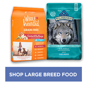 Shop large breed food.