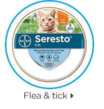 Flea & tick.