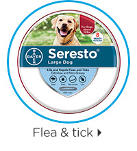 Flea & tick.