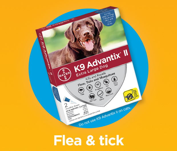 Flea & tick.