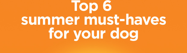 Top 6 summer must-haves for your dog.