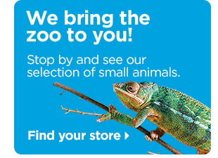We bring the zoo to you! Stop by and see our selection of small animals. Find your store.