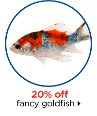 20% off fancy goldfish.