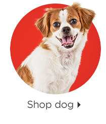 Shop dog.