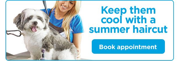 Keep them cool with a summer haircut. Book appointment.