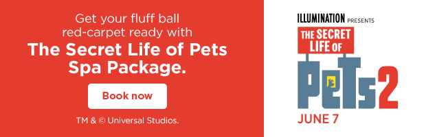 ILLUMINATION presents The Secret Life of Pets 2. June 7. Get your fluff ball red-carpet ready with The Secret Life of Pets Spa Package. Book now. TM & © Universal Studios.