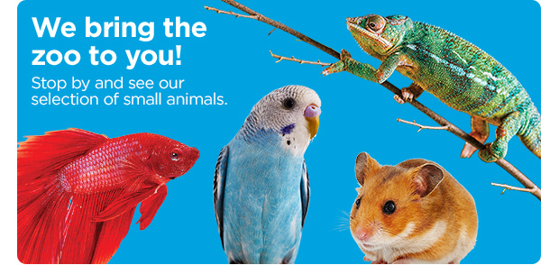 We bring the zoo to you! Stop by and see our selection of small animals.