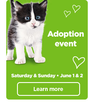 Adoption event. Saturday & Sunday • June 1 & 2. Learn more.