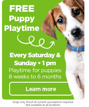 FREE Puppy Playtime. Every Saturday & Sunday • 1 pm. Playtime for puppies 8 weeks to 6 months. Dogs only. Proof of current vaccinations required. Not available at all locations. Learn more.