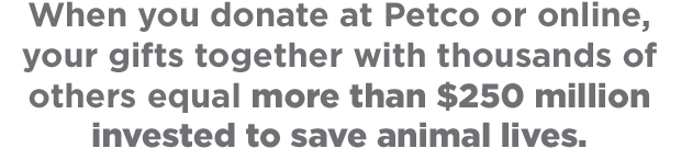 Donate Today to Save Animal Lives.
