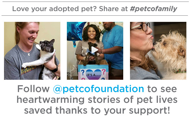 Follow @petcofoundation