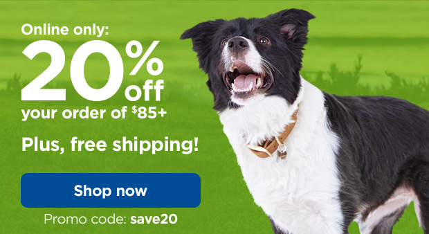 Online only: 20% off your order of $85+ Plus, free shipping! Promo code: save20. Shop now.