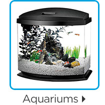 Aquariums.