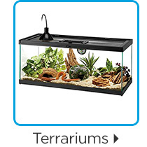 Terrariums.