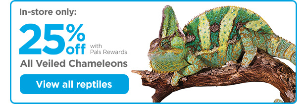 In-store only: 25% off with Pals Rewards. All Veiled Chameleons. View all reptiles.
