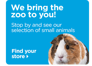 We bring the zoo to you! Stop by and see our selection of small animals. Find your store.