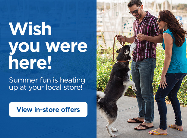 Wish you were here! Summer fun is heating up at your local store! View in-store offers.