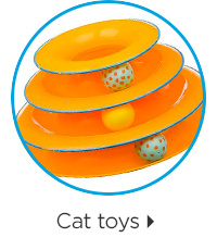 Cat toys.