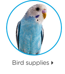 Bird supplies.