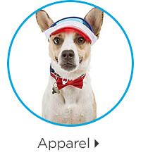 Dog apparel.