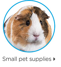 Small pet supplies.