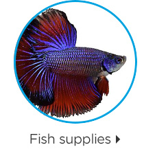 Fish supplies.