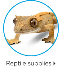 Reptile supplies.