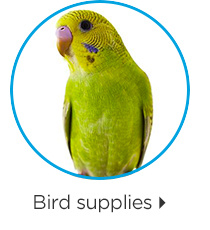 Bird supplies.
