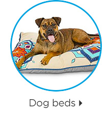 Dog beds.