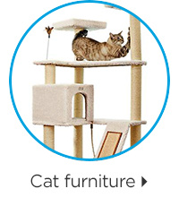 Cat furniture.