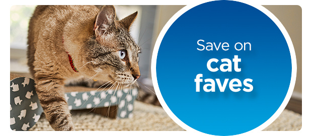 Save on cat faves.
