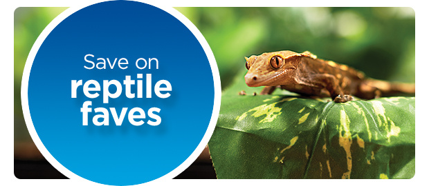 Save on reptile faves.