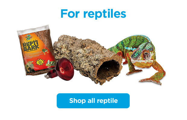 For reptiles. Shop all reptile.