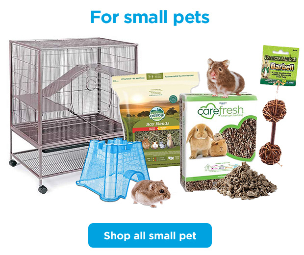 For small pets. Shop all small pet.