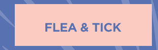 Flea & tick.