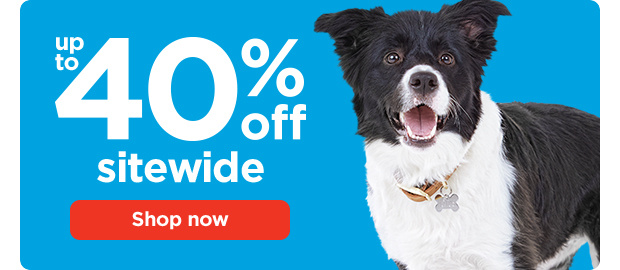 Up to 40 off sitewide. Shop now.