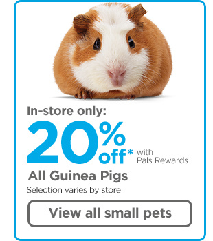 In-store only: 20% off* with Pals Rewards. All Guinea Pigs. Selection varies by store. View all small pets.