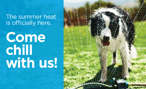The summer heat is officially here. Come chill with us!