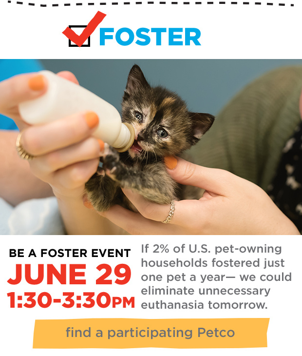 Be A Foster.