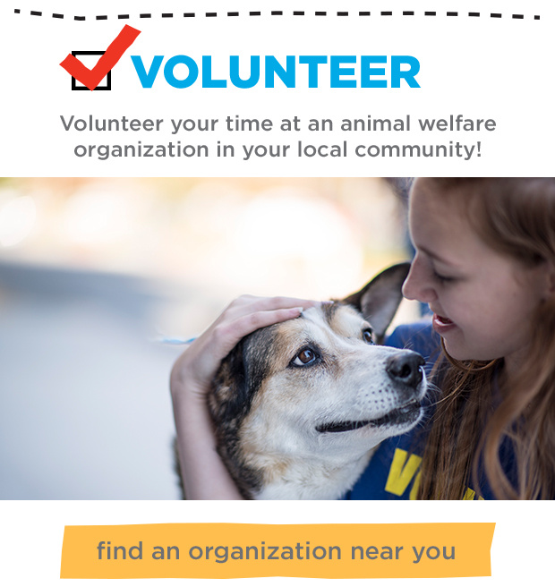 Volunteer in Your Community.