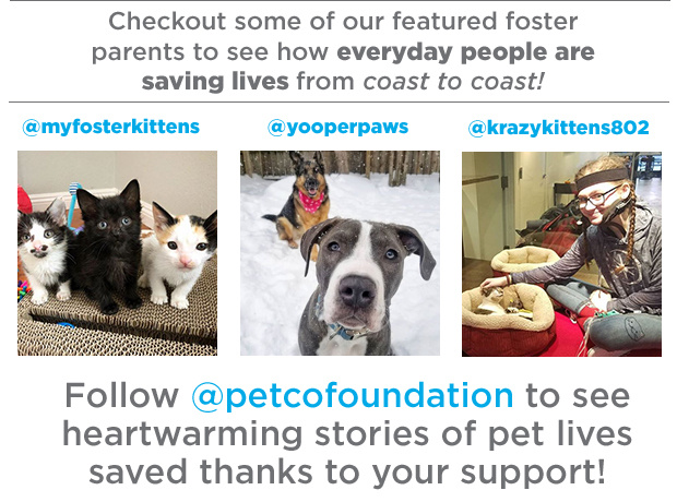 Featured Foster Parents.