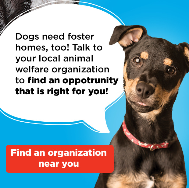Find an organization near you.