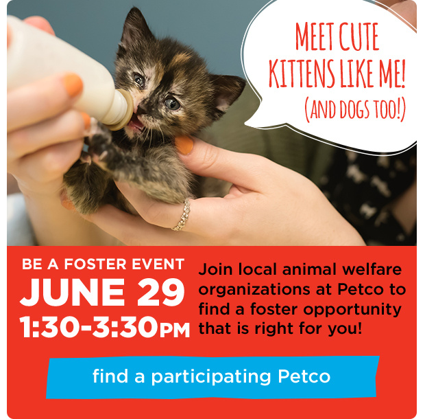 Be A Foster.