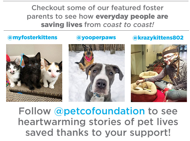 Featured Foster Parents.